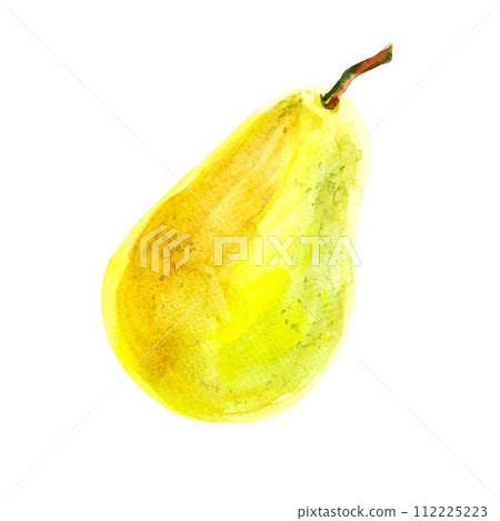 Fresh ripe yellow honey pear fruit isolated on a white background. Realistic illustration with watercolor hand drawn. Delicious aromatic fruit ripened on a tree for fabric, kitchen towels Fresh ripe yellow honey pear fruit isolated on a white background. Realistic illustration with watercolor hand drawn. Delicious aromatic fruit ripened on a tree for fabric, kitchen towels 112225223