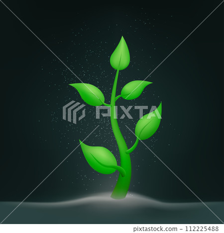 green plant sprouts spring farmers time 112225488