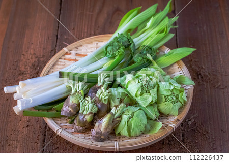 新鮮的野菜 112226437