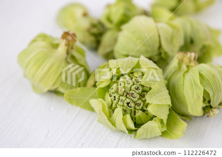 fresh butterbur 112226472
