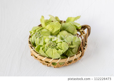 fresh butterbur 112226473