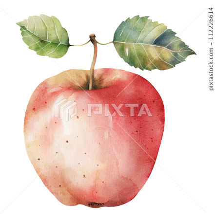 red apple, watercolor illustration. 112226614