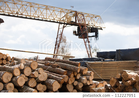 Logs in a wood processing plant.Woodworking industry 112227051