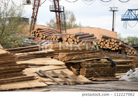 Woodworking factory.Logs of trees and boards on the furniture factory.Wood in production 112227062