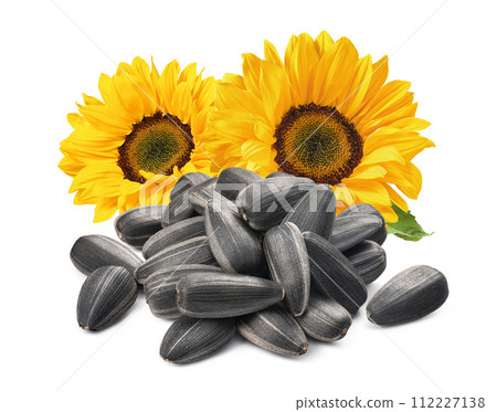 Sun flowers and black sunflower seeds isolated on white background 112227138