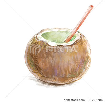 Tropical coconut juice watercolor illustration 112227869