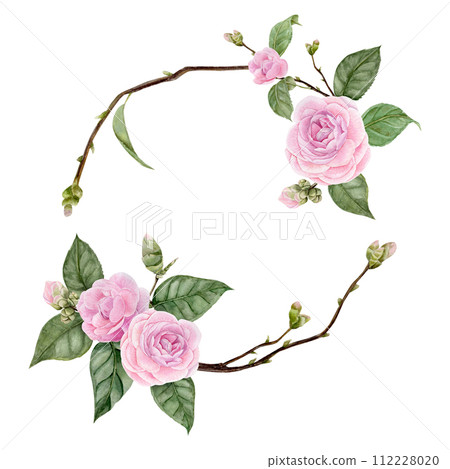 Pink camellia flowers and branches round frame, watercolor illustration, hand draw, on white background Pink camellia flowers and branches round frame, watercolor illustration, hand draw, on white background 112228020