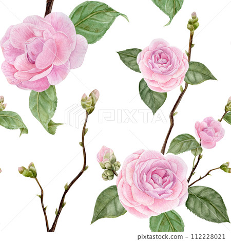 Watercolor pattern with camellia flowers, buds, illustration, hand draw Watercolor pattern with camellia flowers, buds, illustration, hand draw 112228021