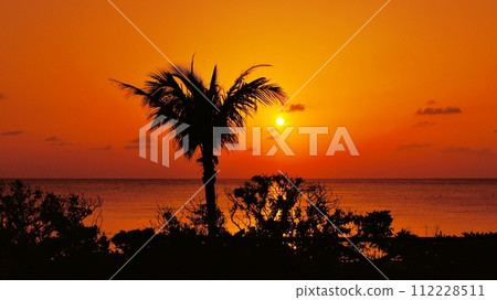tropical sunset beach tropical sunset beach 112228511