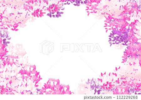 Cleome, Wind Butterfly Grass (Fuchousou) flower card 2 Cleome, Wind Butterfly Grass (Fuchousou) flower card 2 112229268