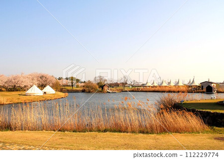 Stagex高島豪華露營設施和櫻花 112229774