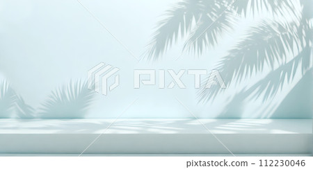 Abstract Palm Leaf Shadow on Light Blue Wall 112230046
