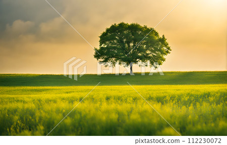 Minimalist Summer Landscape 112230072