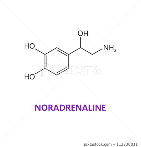 Neurotransmitter, Noradrenaline chemical formula and molecular structure, vector molecule. Norepinephrine or noradrenalin hormone and neurotransmitter in human body or nervous system neuromodulator 112230831