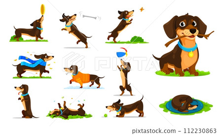 Cartoon dachshund dog puppy characters activities and fun. Vector doggy personage playing outdoors with a ball, branch and flying plate, catching bone and chase butterflies, wearing clothes or sleep 112230863