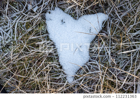 Heart of snow in the grass, Iceland Heart of snow in the grass, Iceland 112231363