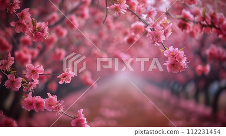 Woman Standing in Field of Pink Flowers 112231454