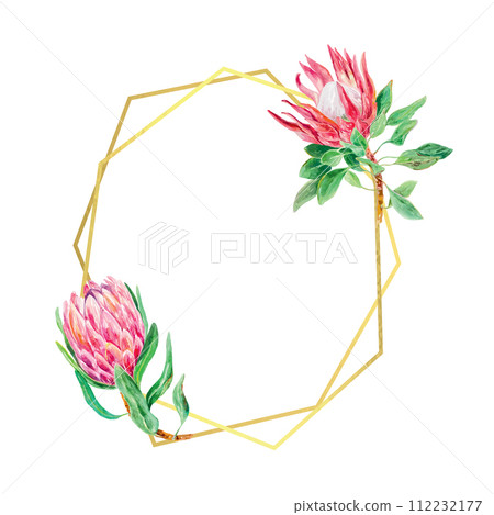 Protea watercolor, card with gold frame. Vector illustration of a pink flower. Design element for cards, wedding invitations, banners, covers, labels. 112232177