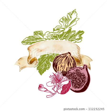 Fig graphics, fruits, leaves, flower. Vector illustration. Label with vintage banner for text. Food, cosmetics, cards, flyers, posters, covers. Fig graphics, fruits, leaves, flower. Vector illustration. Label with vintage banner for text. Food, cosmetics, cards, flyers, posters, covers. 112232245