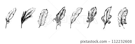 Hand drawn feathers, ink drawing of different goose and swan quill, black and white vector illustration 112232608