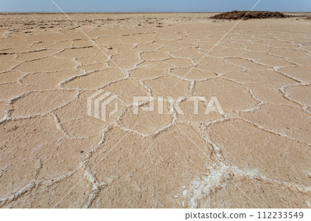 Salt desert in Danakil depression, geological landscape Ethiopia, Horn of Africa 112233549
