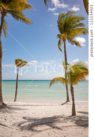 Beautiful tropical beach with coconut palm trees on a sunny day, Mexico. 112234925