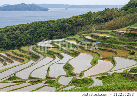 長崎縣 / 九州最壯觀的梯田之一 可以看到日本原始風景的注水季節 鮮綠的土屋梯田（Doyatanada） 112235298