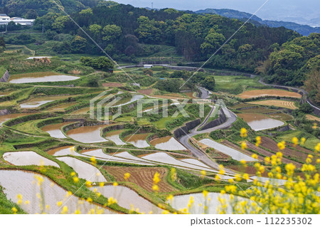 長崎縣 / 九州最壯觀的梯田之一 可以看到日本原始風景的注水季節 鮮綠的土屋梯田（Doyatanada） 112235302
