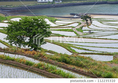 Nagasaki Prefecture / One of the most spectacular rice terraces in Kyushu The season of water filling where you can see the original scenery of Japan Fresh green Tsuchiya rice terraces (Doyatanada) Nagasaki Prefecture / One of the most spectacular rice terraces in Kyushu The season of water filling where you can see the original scenery of Japan Fresh green Tsuchiya rice terraces (Doyatanada) 112235310