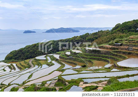 Nagasaki Prefecture / One of the most spectacular rice terraces in Kyushu The season of water filling where you can see the original scenery of Japan Fresh green Tsuchiya rice terraces (Doyatanada) Nagasaki Prefecture / One of the most spectacular rice terraces in Kyushu The season of water filling where you can see the original scenery of Japan Fresh green Tsuchiya rice terraces (Doyatanada) 112235313