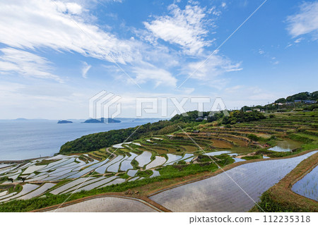 長崎縣 / 九州最壯觀的梯田之一 可以看到日本原始風景的注水季節 鮮綠的土屋梯田（Doyatanada） 112235318