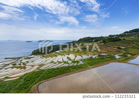 長崎縣 / 九州最壯觀的梯田之一 可以看到日本原始風景的注水季節 鮮綠的土屋梯田（Doyatanada） 112235321