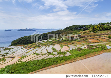 長崎縣 / 九州最壯觀的梯田之一 可以看到日本原始風景的注水季節 鮮綠的土屋梯田（Doyatanada） 112235325