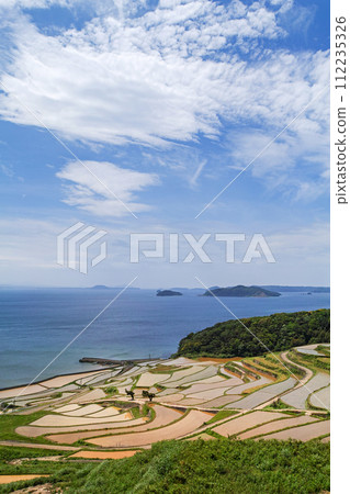 長崎縣 / 九州最壯觀的梯田之一 可以看到日本原始風景的注水季節 鮮綠的土屋梯田（Doyatanada） 112235326