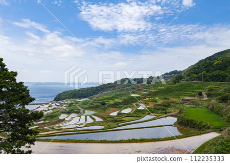 Nagasaki Prefecture / One of the most spectacular rice terraces in Kyushu The season of water filling where you can see the original scenery of Japan Fresh green Tsuchiya rice terraces (Doyatanada) 112235333