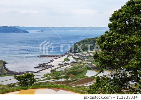Nagasaki Prefecture / One of the most spectacular rice terraces in Kyushu The season of water filling where you can see the original scenery of Japan Fresh green Tsuchiya rice terraces (Doyatanada) Nagasaki Prefecture / One of the most spectacular rice terraces in Kyushu The season of water filling where you can see the original scenery of Japan Fresh green Tsuchiya rice terraces (Doyatanada) 112235334