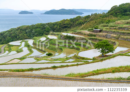 Nagasaki Prefecture / One of the most spectacular rice terraces in Kyushu The season of water filling where you can see the original scenery of Japan Fresh green Tsuchiya rice terraces (Doyatanada) Nagasaki Prefecture / One of the most spectacular rice terraces in Kyushu The season of water filling where you can see the original scenery of Japan Fresh green Tsuchiya rice terraces (Doyatanada) 112235339
