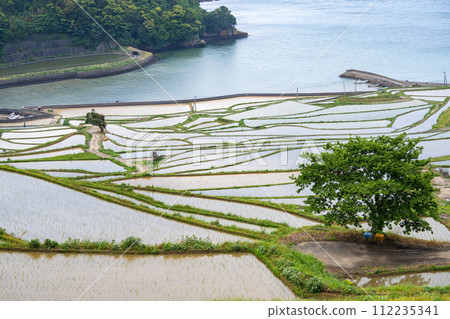 長崎縣 / 九州最壯觀的梯田之一 可以看到日本原始風景的注水季節 鮮綠的土屋梯田（Doyatanada） 112235341