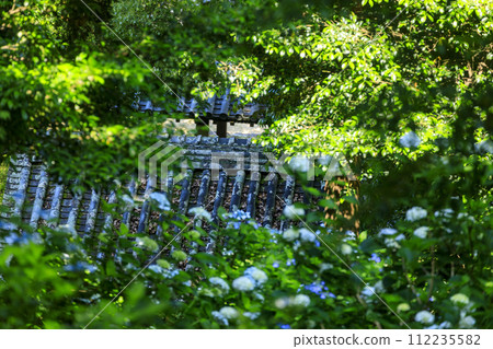 岡山吉備津神社的繡球花園 112235582