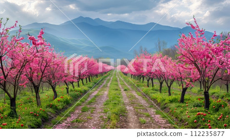 Dirt Road Surrounded by Trees With Pink Flowers 112235877