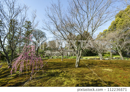 城南宮平安庭園(京都市) 城南宮平安庭園(京都市) 112236871