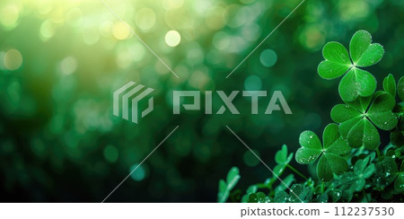 Green Shamrock background with bokeh effect symbolizing luck and the Irish tradition. St. Patrick's Day. Background with green clover in sunlight bokeh with copy space for text Green Shamrock background with bokeh effect symbolizing luck and the Irish tradition. St. Patrick's Day. Background with green clover in sunlight bokeh with copy space for text 112237530