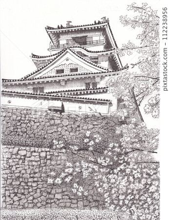 Important Cultural Property Kochi Castle Important Cultural Property Kochi Castle 112238956