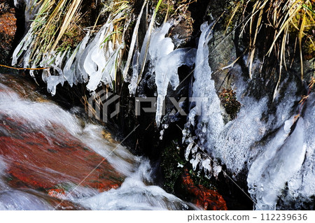 Icicle 112239636