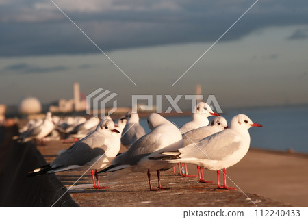 在夕陽下 在夕陽下 112240433