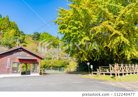 Osumi-Ogawara Station and ginkgo scenery (Soo City) Osumi-Ogawara Station and ginkgo scenery (Soo City) 112240477