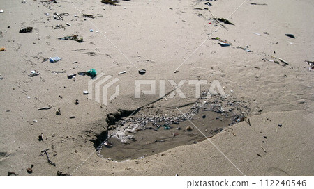 Footprints left by birds on the sandy beach and spring water 112240546