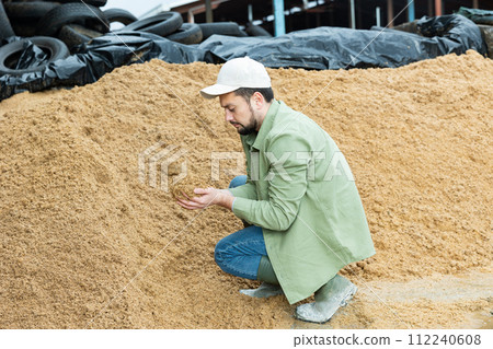Farmer checks the quality of beer bagasse in the backyard of cow farm Farmer checks the quality of beer bagasse in the backyard of cow farm 112240608