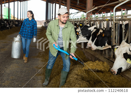 Portrait of man farm worker feeding cows 112240618