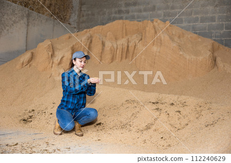 Woman farmer checking quality of soybean husk Woman farmer checking quality of soybean husk 112240629